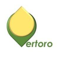 vertoro b.v. logo image