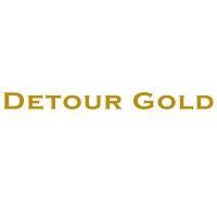 detour gold corporation logo image