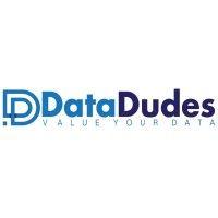 datadudes-ai logo image