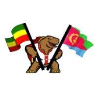 umd ethiopian eritrean students association logo image