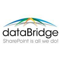 databridge logo image