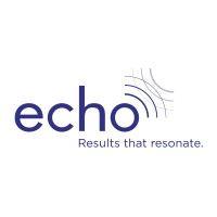 echo strategies logo image