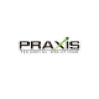 praxis financial solutions, inc logo image