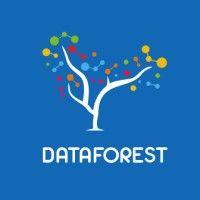 dataforest logo image