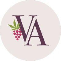 vineyard accounting, llc logo image