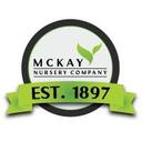 logo of Mckay Nursery Company