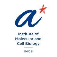 institute of molecular and cell biology (imcb) logo image