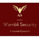 logo of Wambli Security