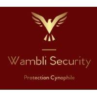 wambli security