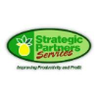 strategic partners services llc logo image