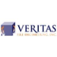 veritas fire engineering inc. logo image