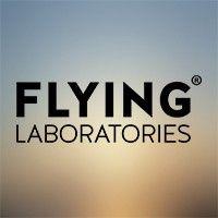 flying laboratories llc logo image