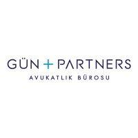 gün + partners logo image