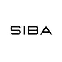 siba consulting logo image