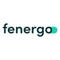 fenergo logo image