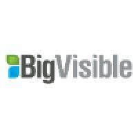 bigvisible solutions logo image