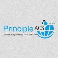 principle acs engineering india private limited logo image