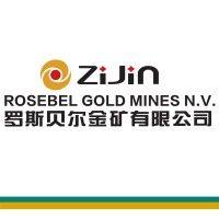 rosebel gold mines n.v. logo image