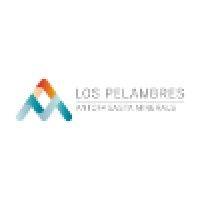 minera los pelambres logo image