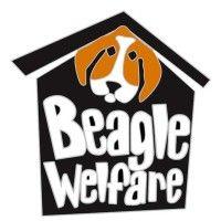 beagle welfare logo image