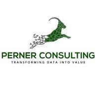 stefan perner consulting logo image