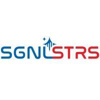 signal stars gov llc logo image