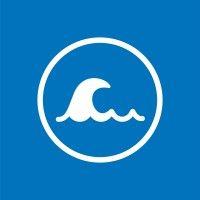 the social surfers 🌊 logo image