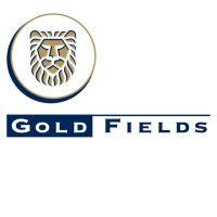 gold fields logo image