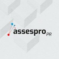 assespro-pr - brazilian association of information technology companies