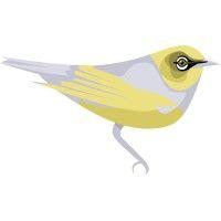 silvereye logo image