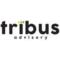 tribus advisory