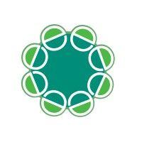 emergence health network logo image