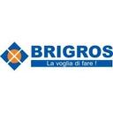 logo of Brigros