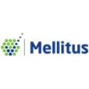 logo of Mellitus Llc