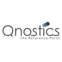 qnostics logo image