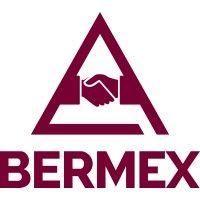 bermex logo image