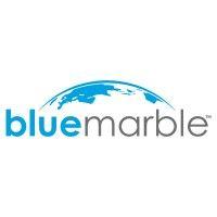 blue marble logo image