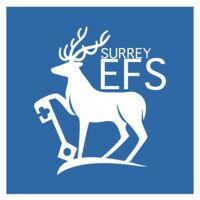 surrey economics & finance society logo image