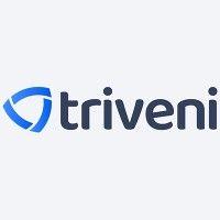 triveni global software services llp logo image