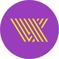 vidionix logo image