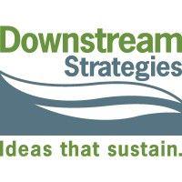 downstream strategies logo image