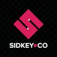 sidkey & co inc logo image