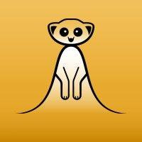 meerkat statistics logo image