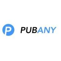 pubany logo image