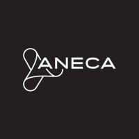 aneca logo image