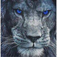 blue lion media logo image