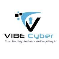 vibe cybersecurity international llc logo image