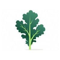 kale logo image