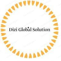 dizi global solution logo image