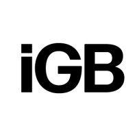 igamingbusiness logo image